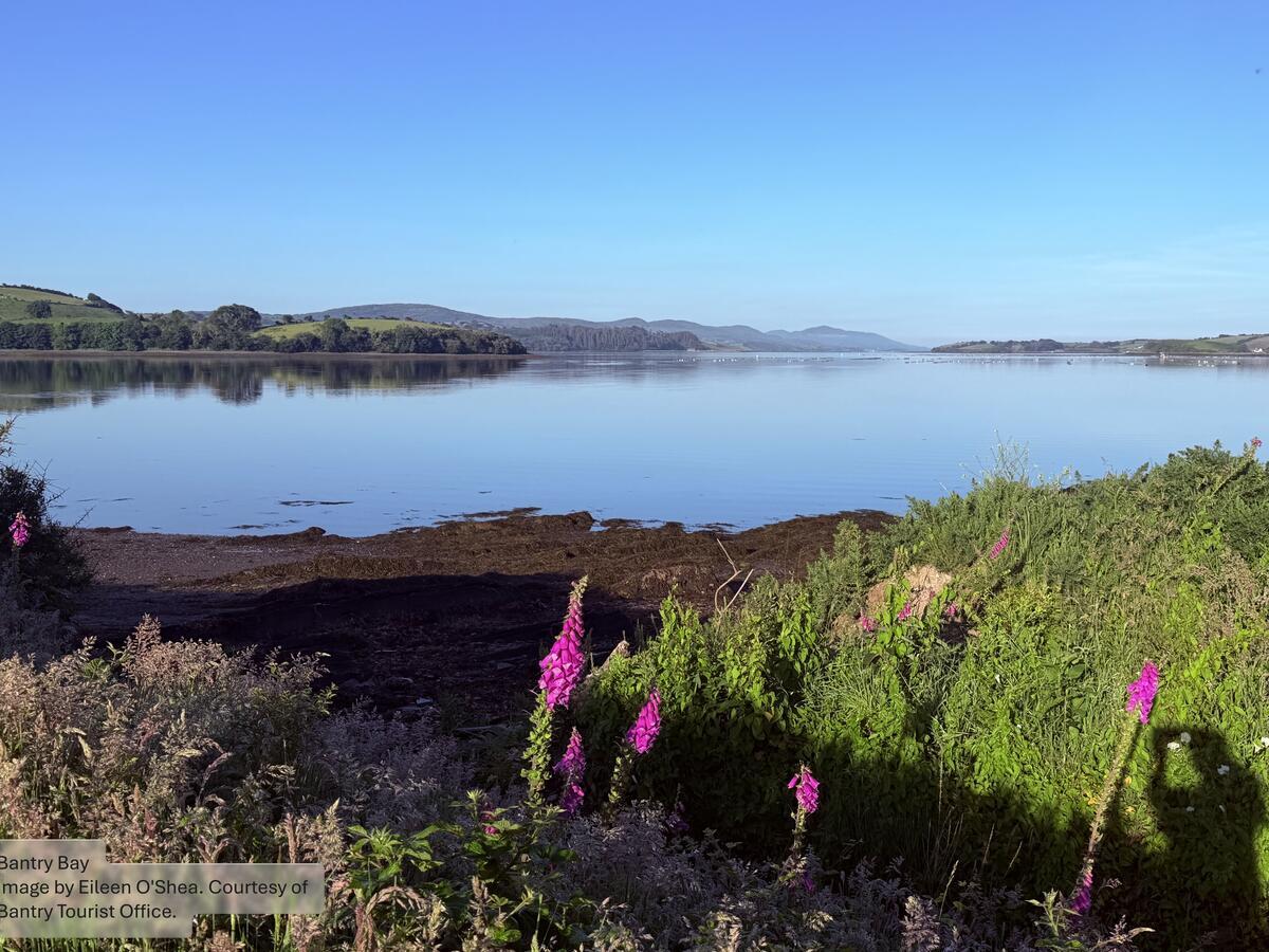 Bantry Bay, County Cork, Ireland