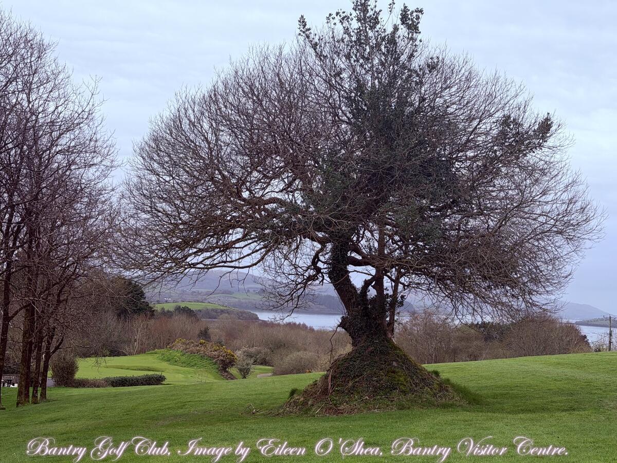 Bantry Golf Course, County Cork, Ireland