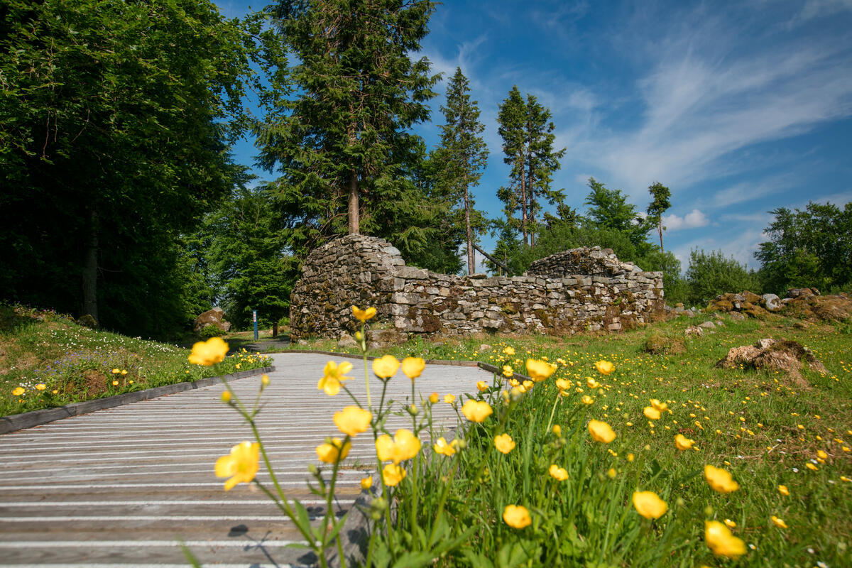 Cavan Burren Park Trails, County Cavan, Ireland