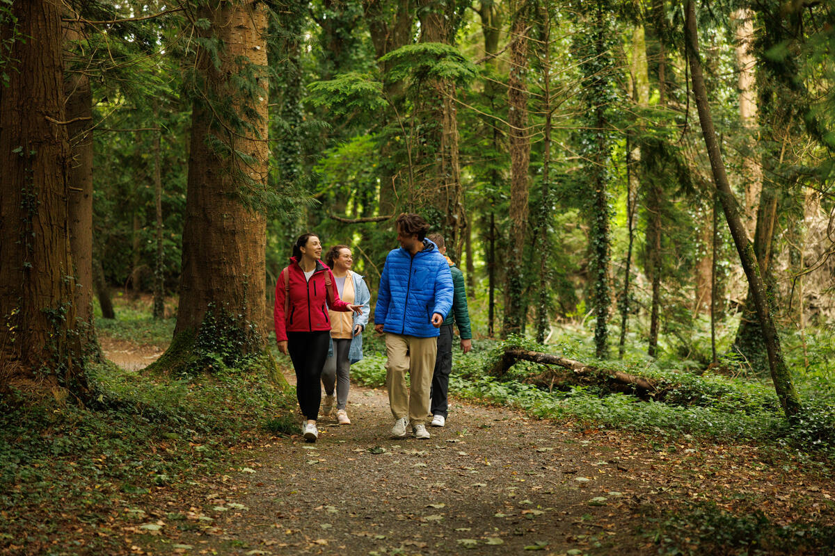 Dún a Rí Forest Park, County Cavan, Ireland
