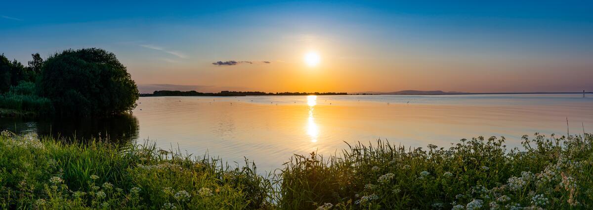 Oxford Island, Lough Neagh, County Armagh, Ireland