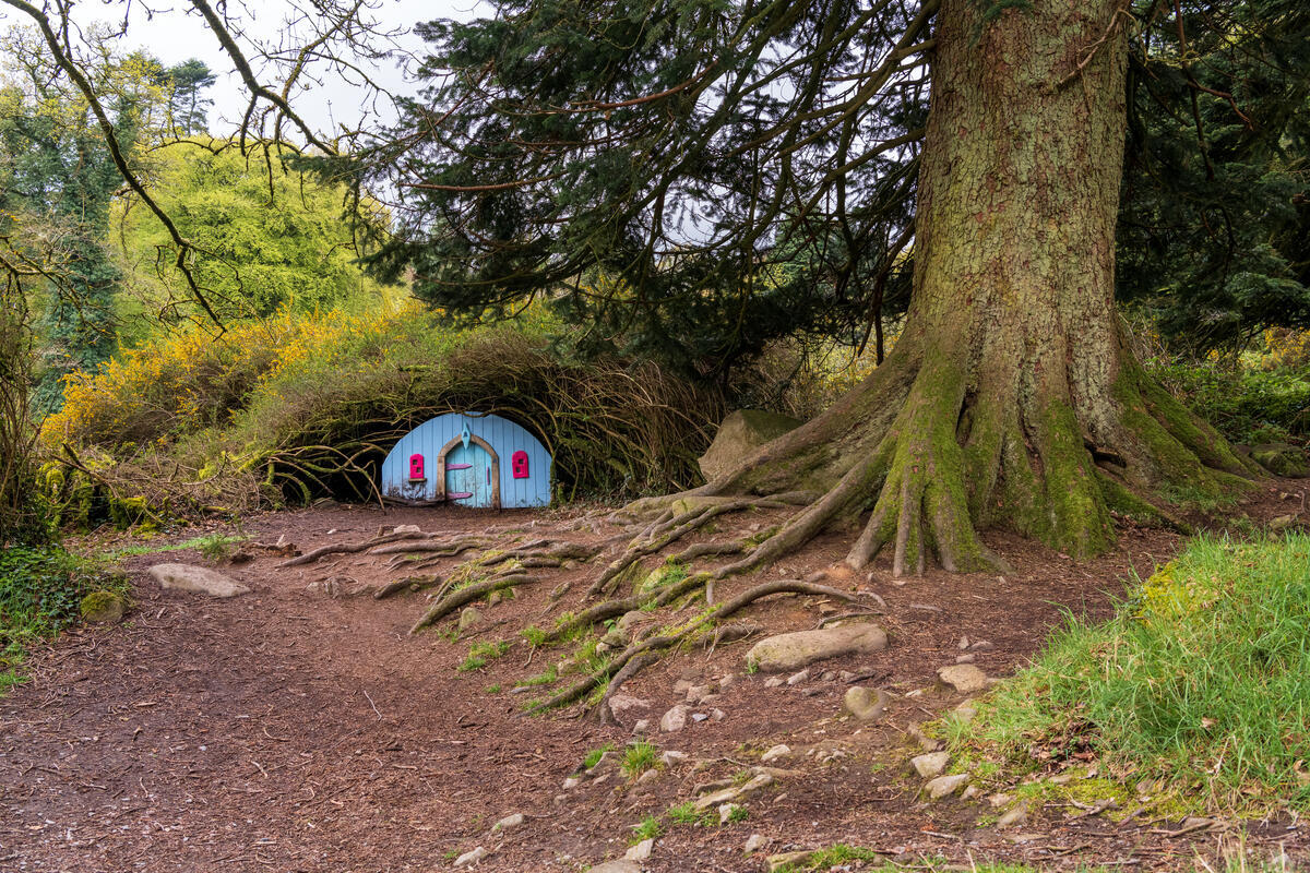 Slieve Gullion Forest Park, County Armagh, Ireland